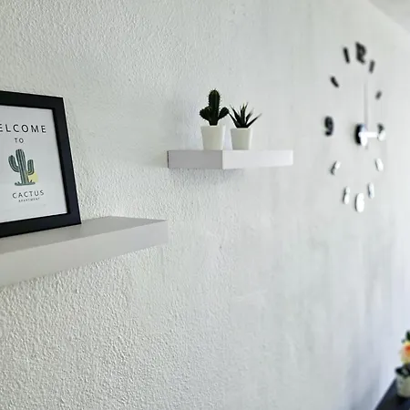 Cactus - * Costa del Silencio