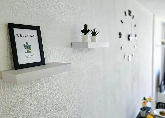 Cactus - * Коста-дель-Силенцио